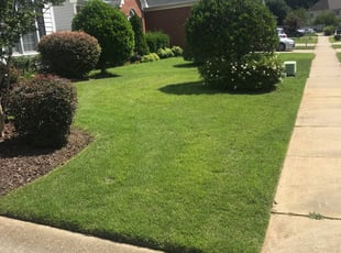 Chuck C.'s Lawn Mowing service result