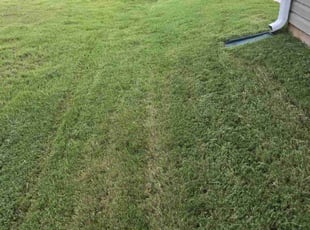 Martha H.'s Lawn Maintenance service result