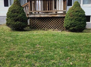 Bush Trimming by Eric Brown for Jess G. in Clemmons, NC