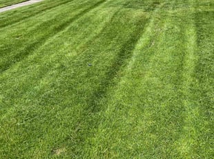 Kristen L.'s Lawn Service service result