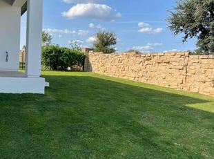 Tori H.'s Lawn Mowing service result