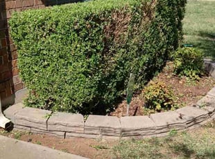 Bush Trimming by Muhammad Rasheed for Doug K. in Oklahoma City, OK