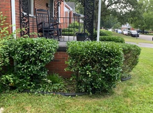 Bush Trimming by Matt Brown for Matt A. in Richmond, VA