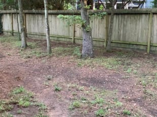 Cleanups by Austin Mckenzie for Sheri S. in Spring, TX