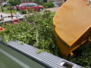 Cleanups by James Skivers for Bernie H. in Blue Springs, MO