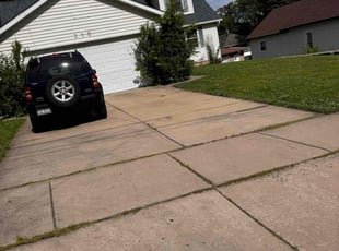 Weeding by Luis Calderon for Seanny M. in Joliet, IL