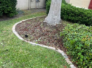 Weeding by Genet Rena for Ren _. in Orlando, FL