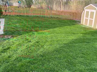 Andrew S.'s Grass Cutting service result