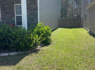 Brenda E.'s Lawn Service service result