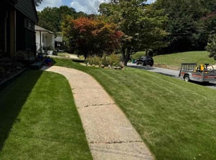 Tesia B.'s Lawn Service service result