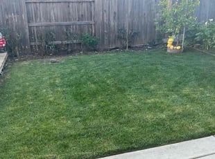 George C.'s Lawn Mowing service result
