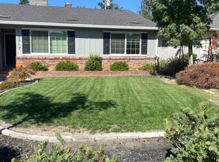Gena A.'s Lawn Care service result