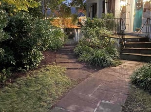 Leaf Removal by Kamonta Hackey for Abby W. in Washington, DC