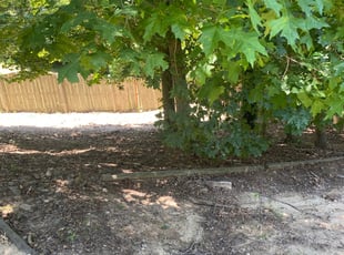 Leaf Removal by Andrew Carr for Candace B. in Mableton, GA