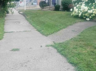 Cathy S.'s Lawn Maintenance service result