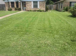 Ty T.'s Lawn Care service result