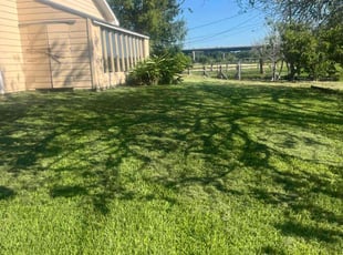 Rome S.'s Lawn Care service result