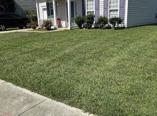 Ronald W.'s Lawn Care service result