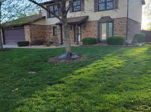 Brian D.'s Lawn Maintenance service result