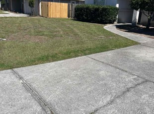 Alex H.'s Lawn Care service result