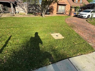 Shirley M.'s Lawn Mowing Service service result