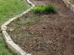 Weeding by Juliana Ledezma for Emily B. in Georgetown, TX