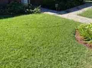 Rebecca W.'s Lawn Service service result