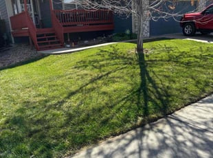 Eric L.'s Lawn Service service result