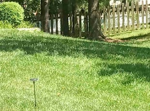 Michael B.'s Lawn Service service result