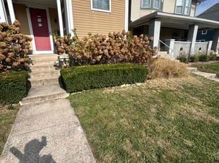 Bush Trimming by Chris Smith for Slater H. in Indianapolis, IN