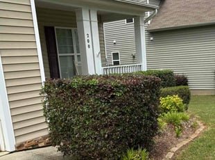 Bush Trimming by Ryan Gerber for Angel D. in Holly Springs, NC