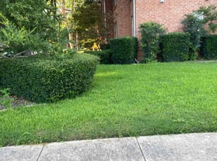 Johnathan B.'s Lawn Mowing Service service result