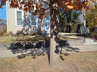 Leaf Removal by David Gallaway for Sharon R. in Saint Paul, MN
