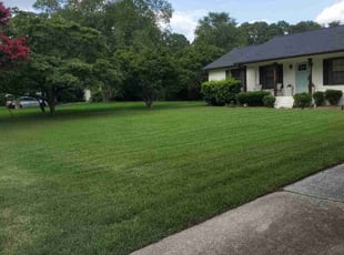 Latisha L.'s Lawn Mowing service result