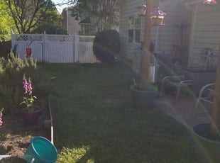 Bush Trimming by David Fregeau for Renee B. in Charlotte, NC
