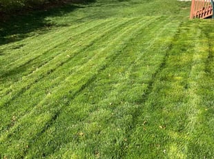 Ryan G.'s Lawn Mowing service result