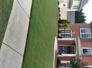 Mary B.'s Lawn Care service result