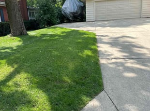 Cleanups by Phillip Kukla for Stephen B. in Lake Zurich, IL
