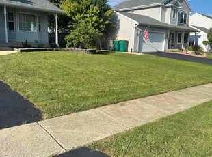 william t.'s Lawn Service service result