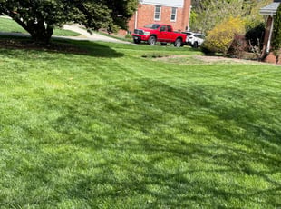 Raja C.'s Lawn Mowing Service service result