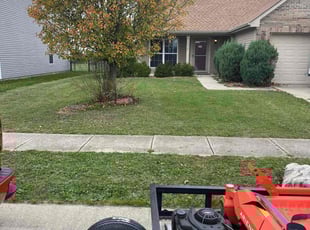 Perette P.'s Lawn Service service result