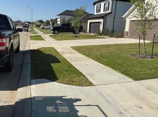 Jasalyn S.'s Lawn Service service result