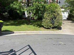 Marsha C.'s Lawn Care service result