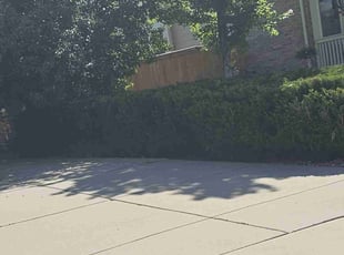 Bush Trimming by Joshua Hines for Katie C. in Aurora, CO