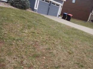 Cleanups by KK Green Grass for Andrew B. in Overland Park, KS
