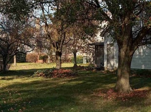 Cleanups by Elisha Nelson for Doreen Y. in Dublin, OH