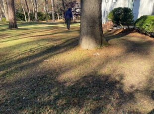 Leaf Removal by Jeffrey Miller for Sarah D. in Richmond, VA