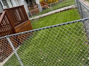 Joey B.'s Lawn Care service result