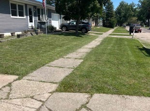 Richard S.'s Lawn Maintenance service result
