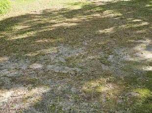 Leaf Removal by Jason Hughes for David H. in Savannah, GA